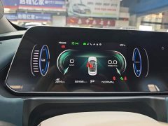 ORA Good Cat 401km Standard Range Deluxe LFP - ფოტო 11