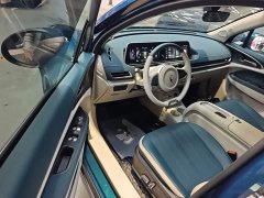 ORA Good Cat 401km Standard Range Deluxe LFP - ფოტო 15