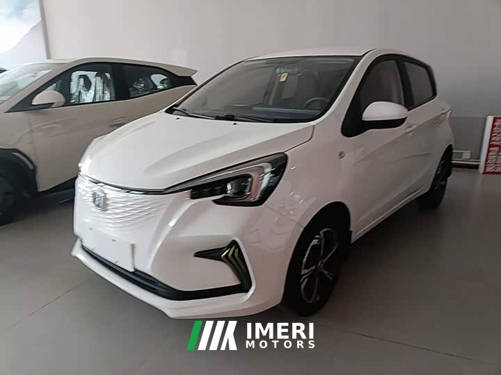 Changan Benben E-Star 2020 Heartbeat Edition Ternary Lithium - ავტომობილი ჩინეთიდან