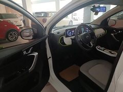 Changan Benben E-Star 2020 Heartbeat Edition Ternary Lithium - ფოტო 15
