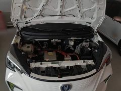 Changan Benben E-Star 2020 Heartbeat Edition Ternary Lithium - ფოტო 19
