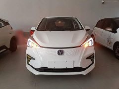 Changan Benben E-Star 2020 Heartbeat Edition Ternary Lithium - ფოტო 2