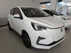 Changan Benben E-Star 2020 Heartbeat Edition Ternary Lithium - ფოტო 3