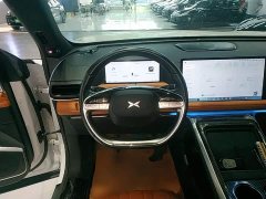 XPeng G9 2022 702 Pro - ფოტო 10