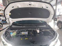 GAC Aion M6 2023 PRO 270T DCT Luxury - ფოტო 19
