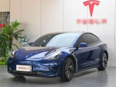Tesla Model 3 Standard Range RWD Upgrade - ფოტო 1
