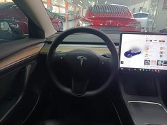 Tesla Model 3 Standard Range RWD Upgrade - ფოტო 10