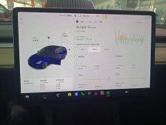 Tesla Model 3 Standard Range RWD Upgrade - ფოტო 11