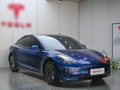 Tesla Model 3 Standard Range RWD Upgrade - ფოტო 3