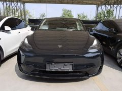 Tesla Model Y Rear-Wheel Drive - ფოტო 2