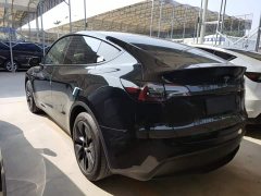 Tesla Model Y Rear-Wheel Drive - ფოტო 4