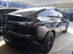 Tesla Model Y Rear-Wheel Drive - ფოტო 6