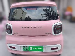 FAW Besturn Xiaoma 170km Vitality Edition - ფოტო 3