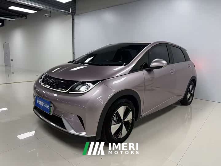 BYD Dolphin 420km Free Edition
