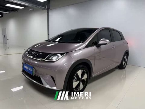 2023 BYD Dolphin 420km Edition - ავტომობილი ჩინეთიდან