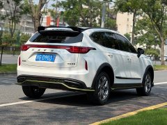 Haval Chitu Jingxiang Edition 1.5T Purple Copper Rabbit - ფოტო 4