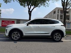 Haval Chitu Jingxiang Edition 1.5T Purple Copper Rabbit - ფოტო 7