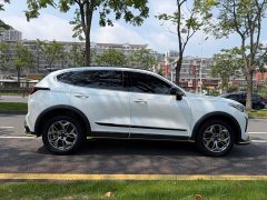 Haval Chitu Jingxiang Edition 1.5T Purple Copper Rabbit - ფოტო 8