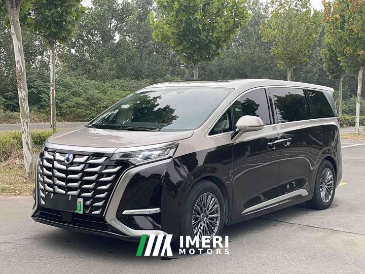 Denza BYD Denza D9 PIONEER Four-Seat Pioneer Edition - ავტომობილი ჩინეთიდან