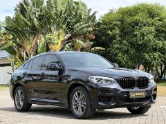 BMW X4 xDrive 25i M Sport Package - ფოტო 3