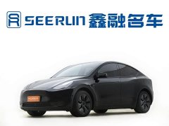 Tesla Model Y Rear-Wheel Drive - ფოტო 1