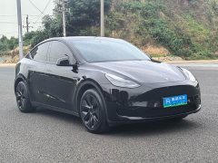 Tesla Model Y Rear-Wheel Drive - ფოტო 5