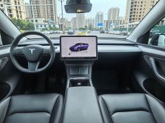 Tesla Model Y Rear-Wheel Drive - ფოტო 9