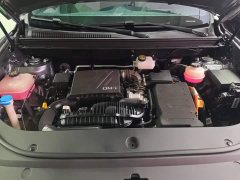BYD Song Pro New Energy 2022 DM-i 110km Flagship Pro - ფოტო 10