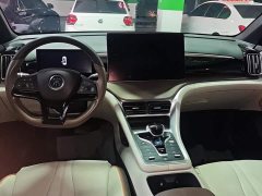 BYD Song Pro New Energy 2022 DM-i 110km Flagship Pro - ფოტო 12