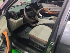 BYD Song Pro New Energy 2022 DM-i 110km Flagship Pro - ფოტო 9