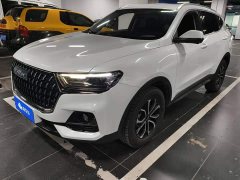 Haval H6 National Trend Edition 1.5T Automatic Urban Version - ფოტო 1