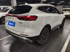 Haval H6 National Trend Edition 1.5T Automatic Urban Version - ფოტო 3