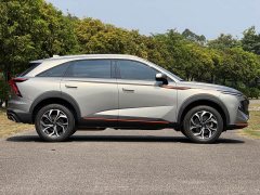Haval Divine Beast 1.5T Smart Enjoy Edition - ფოტო 10