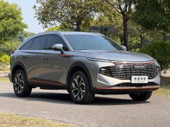 Haval Divine Beast 1.5T Smart Enjoy Edition - ფოტო 3