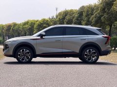 Haval Divine Beast 1.5T Smart Enjoy Edition - ფოტო 5