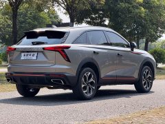 Haval Divine Beast 1.5T Smart Enjoy Edition - ფოტო 8