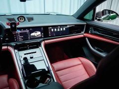 Porsche Panamera 2.9T - ფოტო 14