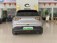 Geely Star Wish 310km Dream Edition - ფოტო 5