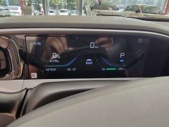 Geely Star Wish 310km Dream Edition - ფოტო 8