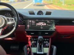 Porsche 2022 Cayenne 3.0T Platinum Edition - ფოტო 15