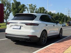 Porsche 2022 Cayenne 3.0T Platinum Edition - ფოტო 6
