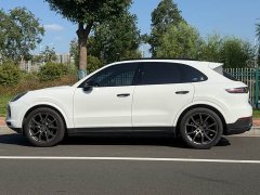 Porsche 2022 Cayenne 3.0T Platinum Edition - ფოტო 7