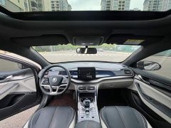BYD Qin PLUS EV 400KM Luxury - ფოტო 9