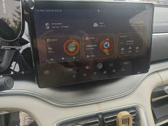 BYD Song Plus New Energy 2021 DM-i 110KM Flagship Plus - ფოტო 9