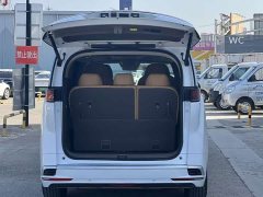 Denza BYD Denza D9 2022 DM-i 1040 Premium - ფოტო 6