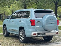 Beijing Jeep BJ60 2022 2.0T Eleventh Edition Five-Seater - ფოტო 13