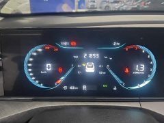 Changan Eado PLUS Blue Whale NE 1.4T GDI DCT High Performance Edition - ფოტო 14