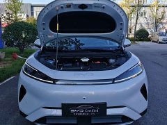 BYD Sealion 05 DM-i 305 Pilot Edition - ფოტო 2