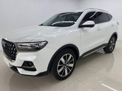 Haval H6 National Trend Edition 1.5T Automatic Champion Version - ფოტო 1
