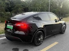 Tesla Model Y 2022 Rear-Wheel Drive - ფოტო 13